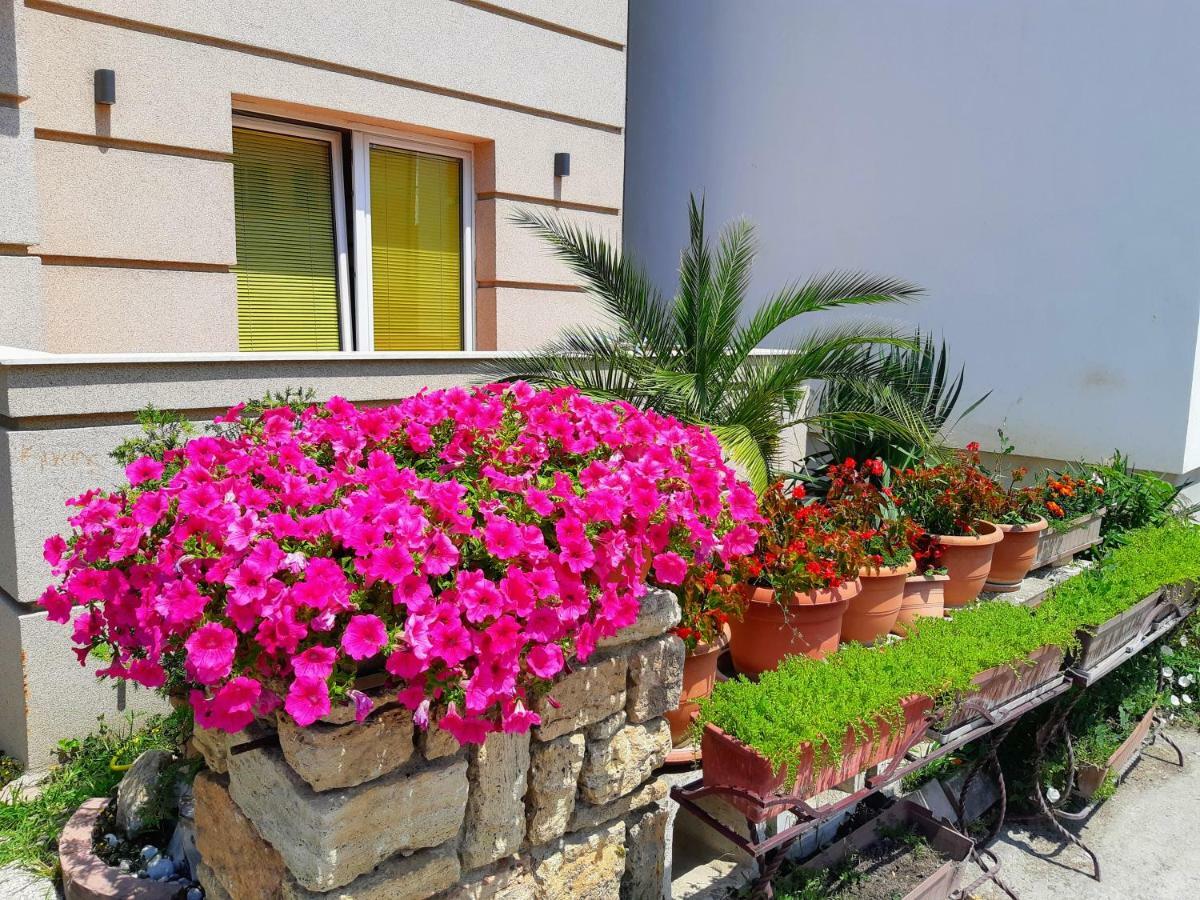 Bitrak Guest House Ohrid Exterior photo